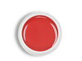 Danny Builder Gel 30ml